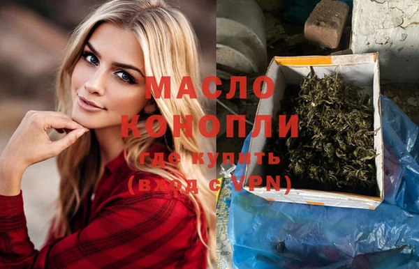крисы Слюдянка