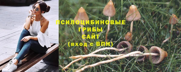 крисы Слюдянка